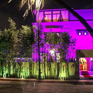 Majorel Pearl Boutique Hotel-Restaurant Piscine&Spa